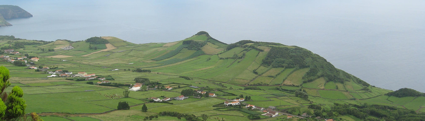 Aerial view of landscape