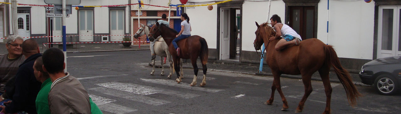 Horseback on street in Sao Miguel.